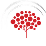 scnetsquare